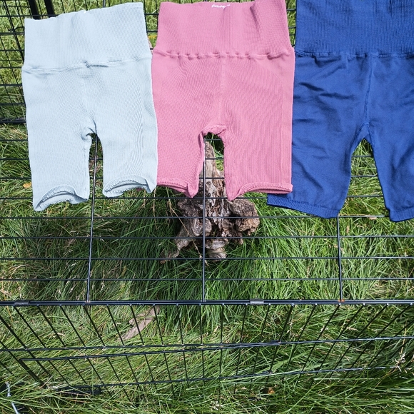 New Set of Three Colors! Good Karma Shorts - Picture 5 of 7